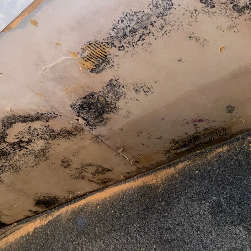 What to Do to Keep Your Rental Property Mold-Free Between Guests (MDI Tips)