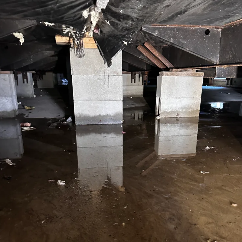Water Damage Flood Basement — Penobscot Cleaning